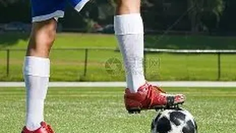 立博体育 产品 084210 vr0