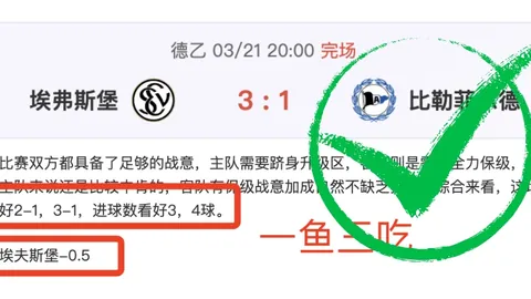 无线汽车启动器及充气泵（轮胎充气器）大促价3999美元